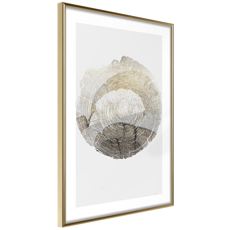 Wall Poster Trace - light composition with the texture of a tree cross-section on a white background 127342 additionalImage 9