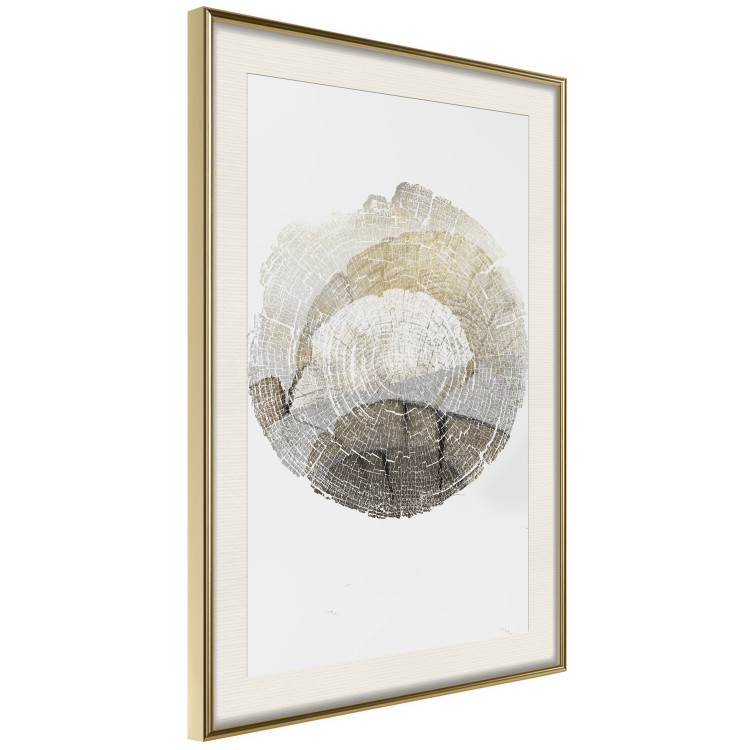 Wall Poster Trace - light composition with the texture of a tree cross-section on a white background 127342 additionalImage 3