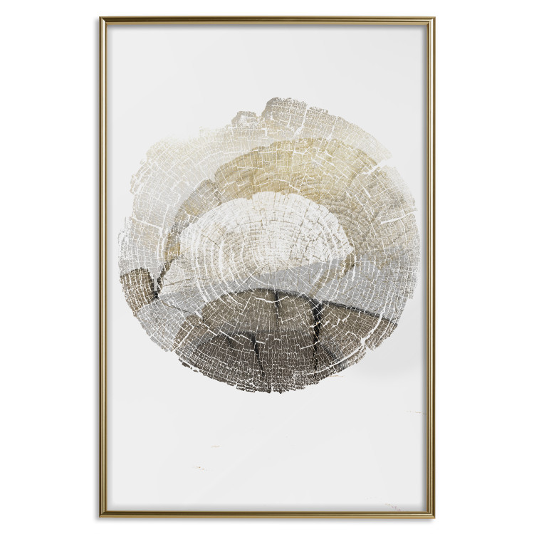 Wall Poster Trace - light composition with the texture of a tree cross-section on a white background 127342 additionalImage 17