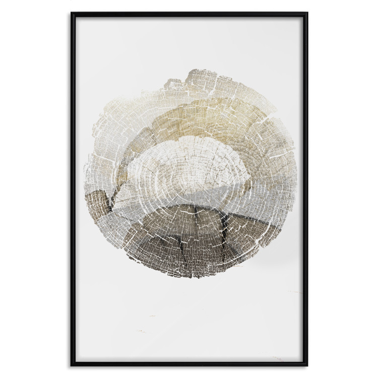 Wall Poster Trace - light composition with the texture of a tree cross-section on a white background 127342 additionalImage 16