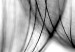 Canvas Art Print Dandelion in the Wind (1-piece) Vertical - black dandelion sketch 129742 additionalThumb 5