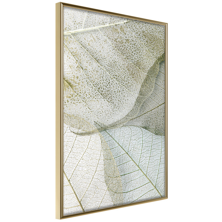 Poster Foliage Configuration - leafy composition with distinct texture 130442 additionalImage 12