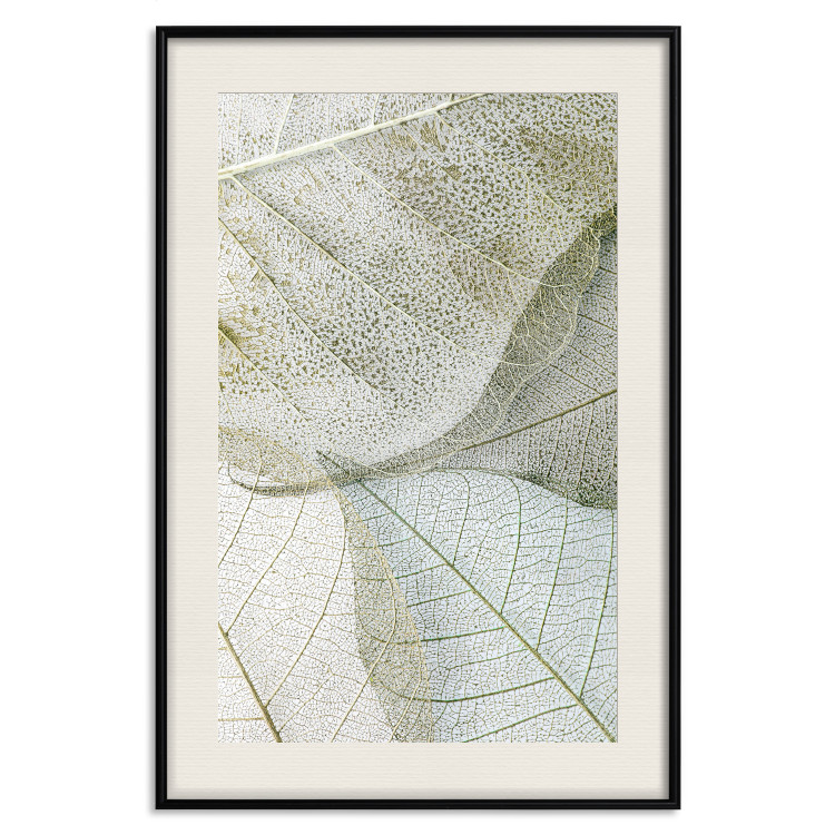 Poster Foliage Configuration - leafy composition with distinct texture 130442 additionalImage 23