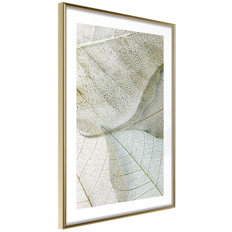 Poster Foliage Configuration - leafy composition with distinct texture 130442 additionalImage 7