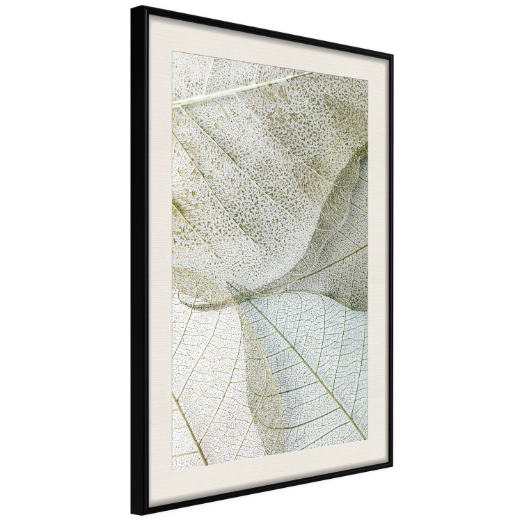 Poster Foliage Configuration - leafy composition with distinct texture 130442 additionalImage 2