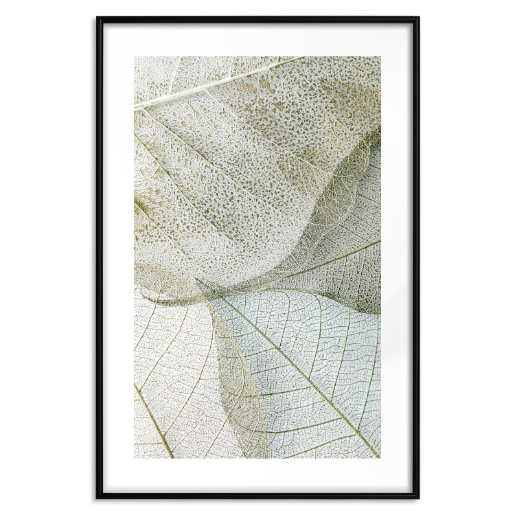 Poster Foliage Configuration - leafy composition with distinct texture 130442 additionalImage 16