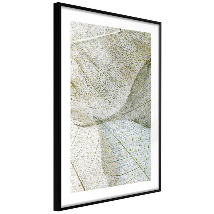 Poster Foliage Configuration - leafy composition with distinct texture 130442 additionalImage 6