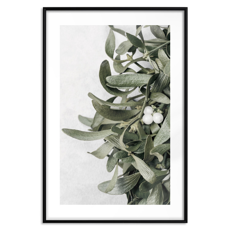 Poster Happy Kiss - leafy plant with flowers on a gray background 130742 additionalImage 17