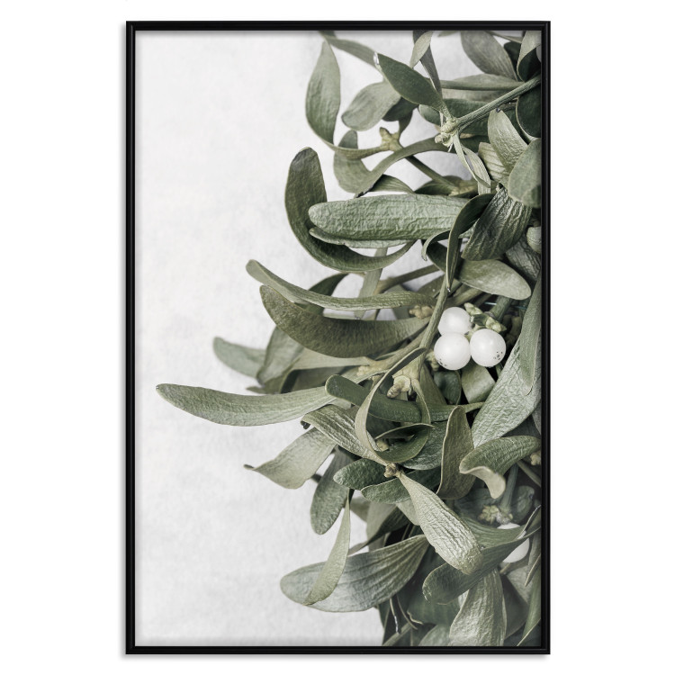 Poster Happy Kiss - leafy plant with flowers on a gray background 130742 additionalImage 18