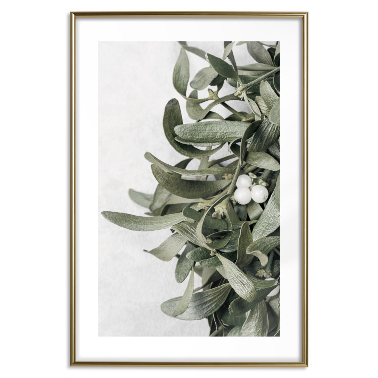 Poster Happy Kiss - leafy plant with flowers on a gray background 130742 additionalImage 16