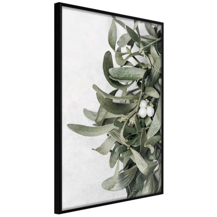 Poster Happy Kiss - leafy plant with flowers on a gray background 130742 additionalImage 13