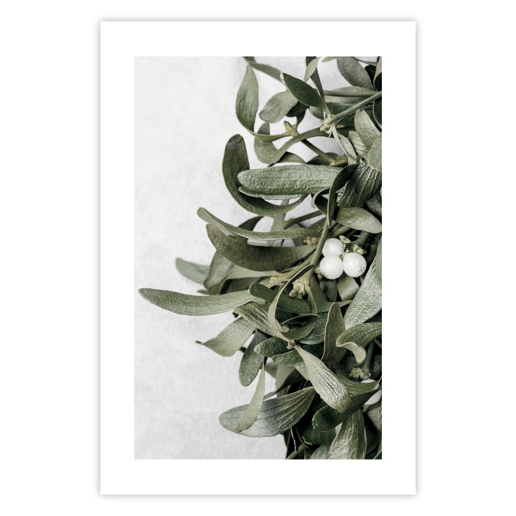 Poster Happy Kiss - leafy plant with flowers on a gray background 130742 additionalImage 25