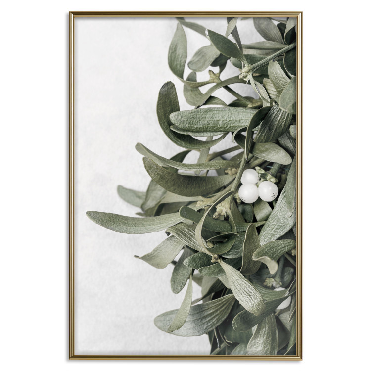 Poster Happy Kiss - leafy plant with flowers on a gray background 130742 additionalImage 21
