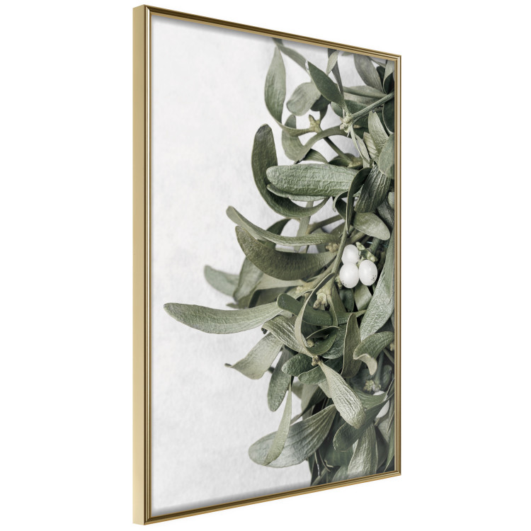 Poster Happy Kiss - leafy plant with flowers on a gray background 130742 additionalImage 14