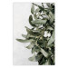 Poster Happy Kiss - leafy plant with flowers on a gray background 130742