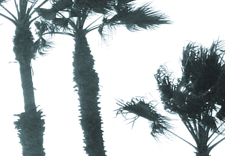 Wall Poster Palms in the Wind - beach landscape with large palms on a light background 137842 additionalImage 5