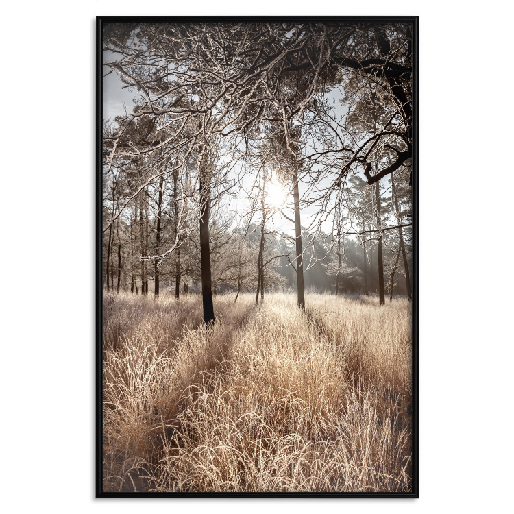 Wall Poster Straight into Love - landscape of a forest and trees against a rising sun 138042 additionalImage 16