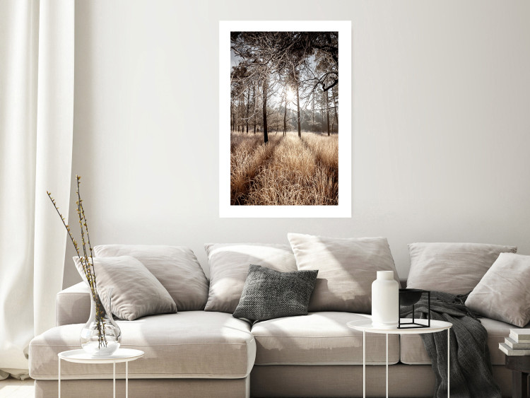 Wall Poster Straight into Love - landscape of a forest and trees against a rising sun 138042 additionalImage 16