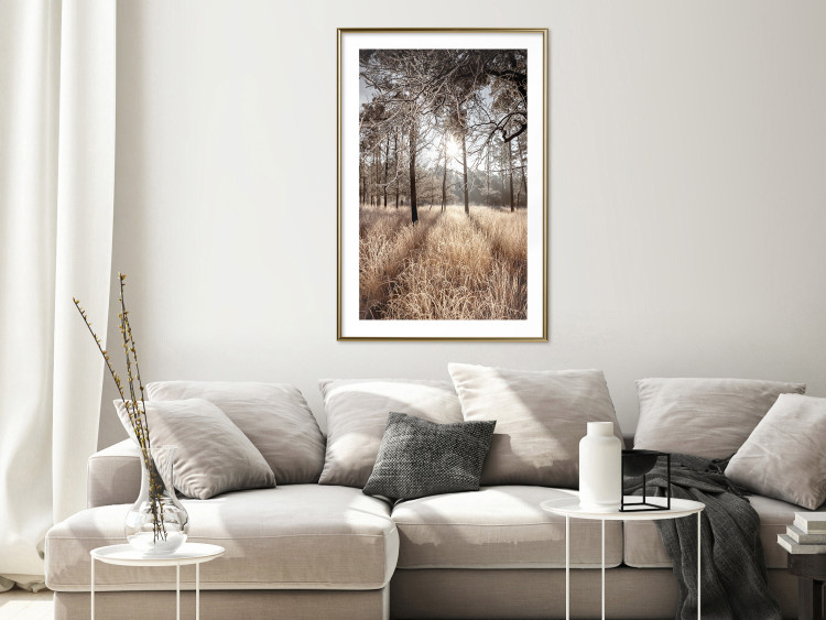 Wall Poster Straight into Love - landscape of a forest and trees against a rising sun 138042 additionalImage 9