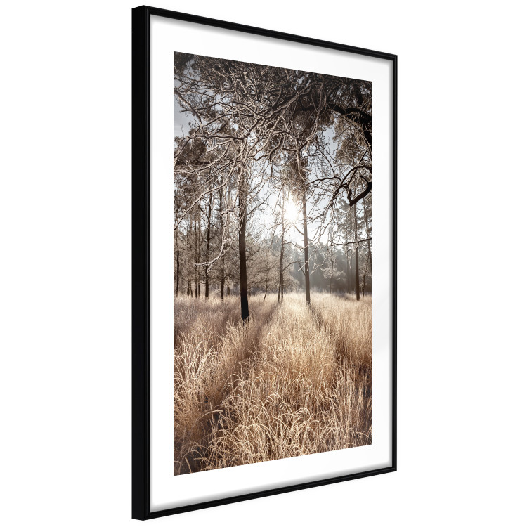 Wall Poster Straight into Love - landscape of a forest and trees against a rising sun 138042 additionalImage 5