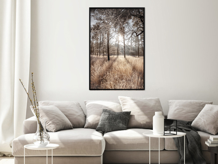 Wall Poster Straight into Love - landscape of a forest and trees against a rising sun 138042 additionalImage 11