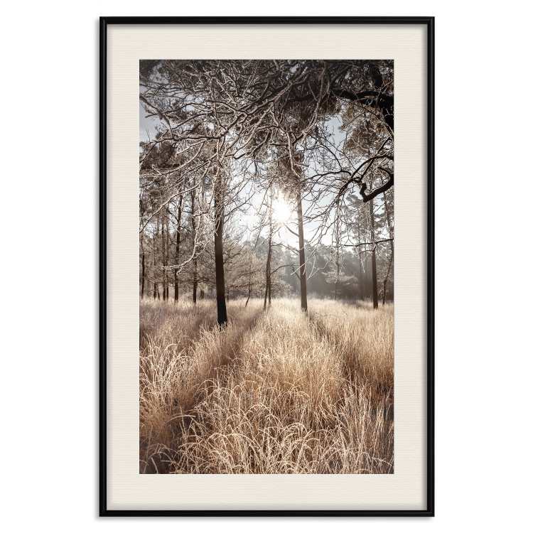 Wall Poster Straight into Love - landscape of a forest and trees against a rising sun 138042 additionalImage 22
