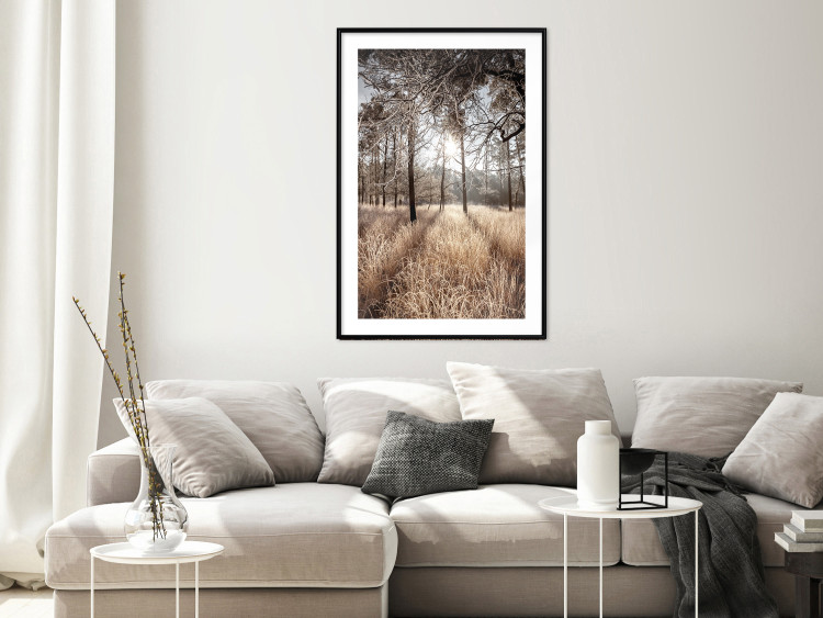 Wall Poster Straight into Love - landscape of a forest and trees against a rising sun 138042 additionalImage 12