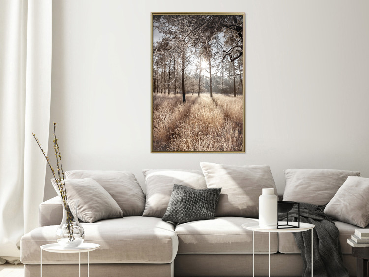 Wall Poster Straight into Love - landscape of a forest and trees against a rising sun 138042 additionalImage 14