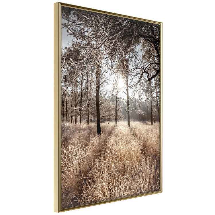 Wall Poster Straight into Love - landscape of a forest and trees against a rising sun 138042 additionalImage 8