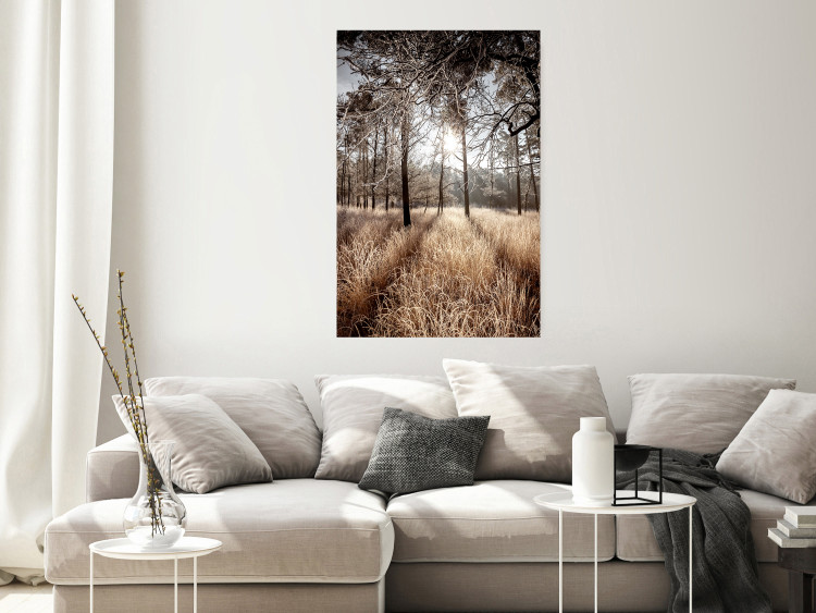 Wall Poster Straight into Love - landscape of a forest and trees against a rising sun 138042 additionalImage 15