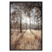 Wall Poster Straight into Love - landscape of a forest and trees against a rising sun 138042 additionalThumb 16