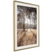 Wall Poster Straight into Love - landscape of a forest and trees against a rising sun 138042 additionalThumb 3