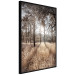 Wall Poster Straight into Love - landscape of a forest and trees against a rising sun 138042 additionalThumb 4