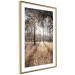 Wall Poster Straight into Love - landscape of a forest and trees against a rising sun 138042 additionalThumb 2