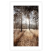 Wall Poster Straight into Love - landscape of a forest and trees against a rising sun 138042 additionalThumb 25