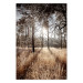 Wall Poster Straight into Love - landscape of a forest and trees against a rising sun 138042