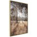 Wall Poster Straight into Love - landscape of a forest and trees against a rising sun 138042 additionalThumb 8