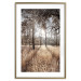 Wall Poster Straight into Love - landscape of a forest and trees against a rising sun 138042 additionalThumb 15