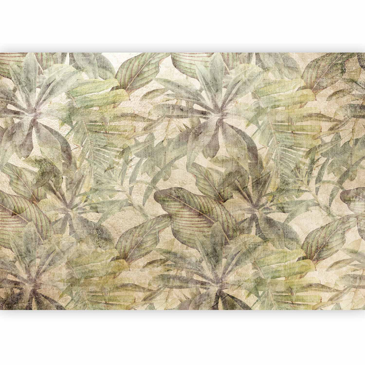 Photo Wallpaper Nature - classic floral motif on a cream background in a vintage style 143542 additionalImage 1