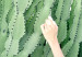 Wall Poster Relax - Green Cactuses and a Young Woman in a Pink Blouse 144342 additionalThumb 2