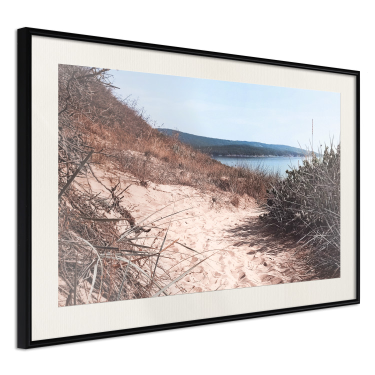 Poster Descent to the Beach - Landscape of the Sea, Sandy Road and Vegetation 146242 additionalImage 9