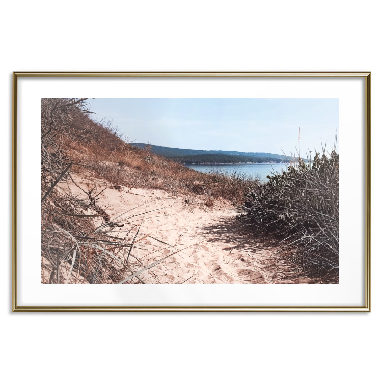Poster Descent to the Beach - Landscape of the Sea, Sandy Road and Vegetation 146242 additionalImage 26