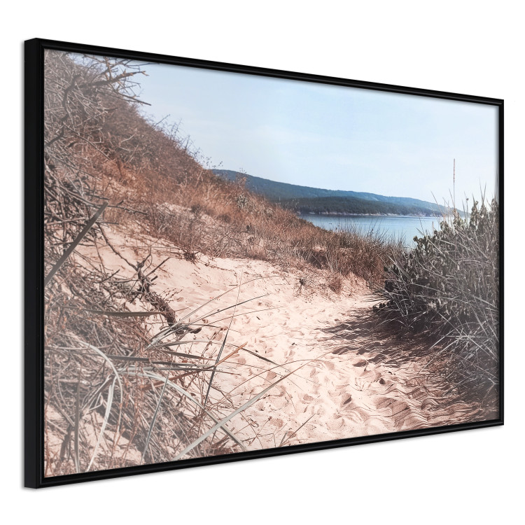 Poster Descent to the Beach - Landscape of the Sea, Sandy Road and Vegetation 146242 additionalImage 12