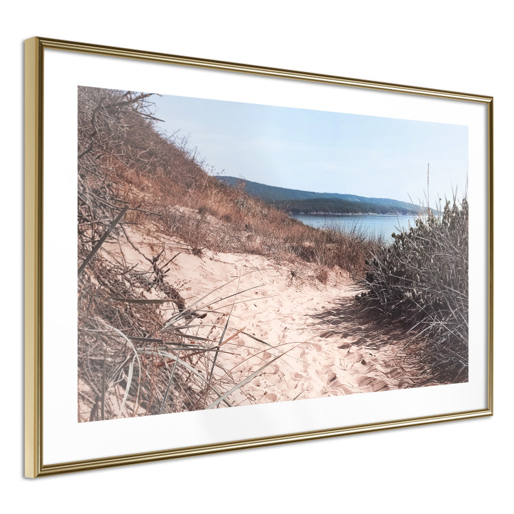Poster Descent to the Beach - Landscape of the Sea, Sandy Road and Vegetation 146242 additionalImage 8
