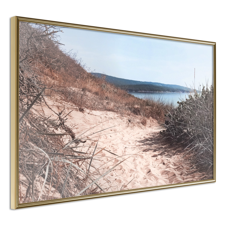 Poster Descent to the Beach - Landscape of the Sea, Sandy Road and Vegetation 146242 additionalImage 6