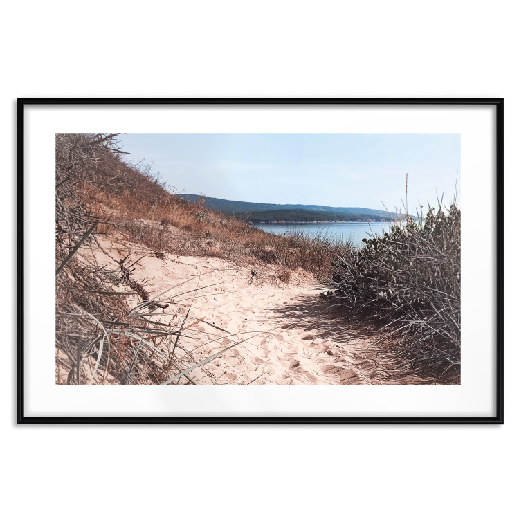Poster Descent to the Beach - Landscape of the Sea, Sandy Road and Vegetation 146242 additionalImage 16