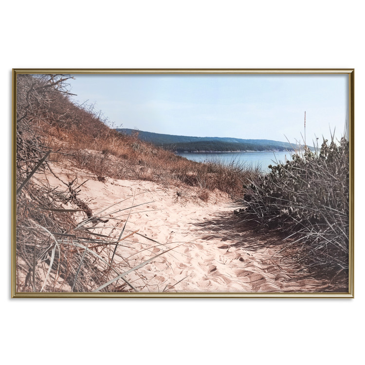 Poster Descent to the Beach - Landscape of the Sea, Sandy Road and Vegetation 146242 additionalImage 27