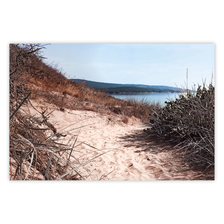 Poster Descent to the Beach - Landscape of the Sea, Sandy Road and Vegetation 146242