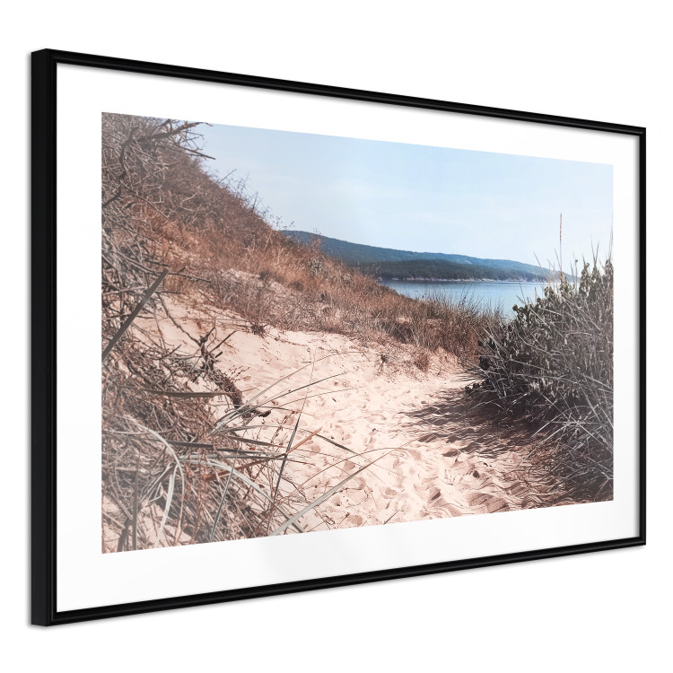 Poster Descent to the Beach - Landscape of the Sea, Sandy Road and Vegetation 146242 additionalImage 11