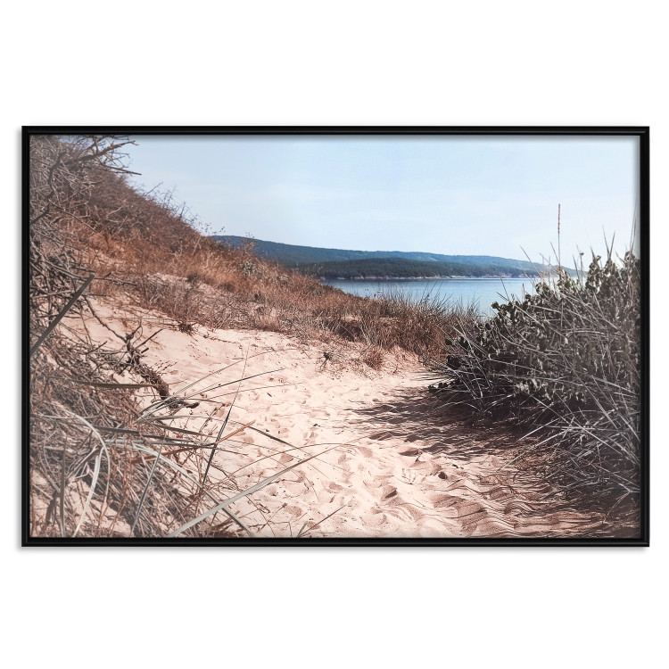 Poster Descent to the Beach - Landscape of the Sea, Sandy Road and Vegetation 146242 additionalImage 17